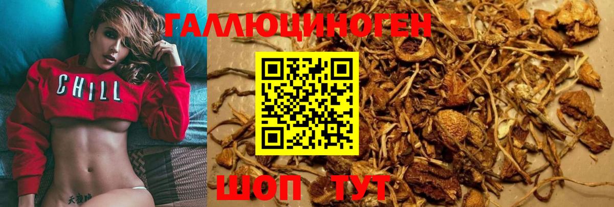 Псилоцибиновые грибы ЛСД Химки