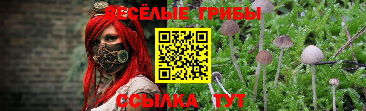 Псилоцибиновые грибы прущие грибы  Вход с VPN  Химки 